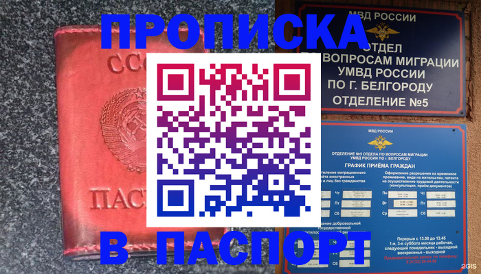 купить прописку в Архангельске